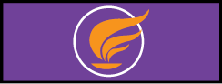 Bandera de Unidos Podemos